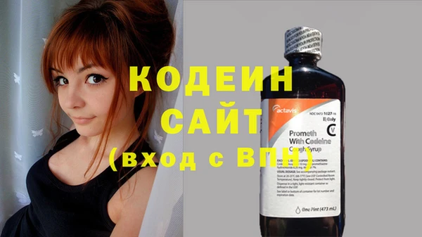 прущий лед Алзамай