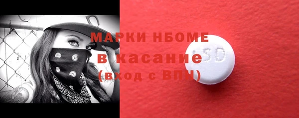 прущий лед Алзамай