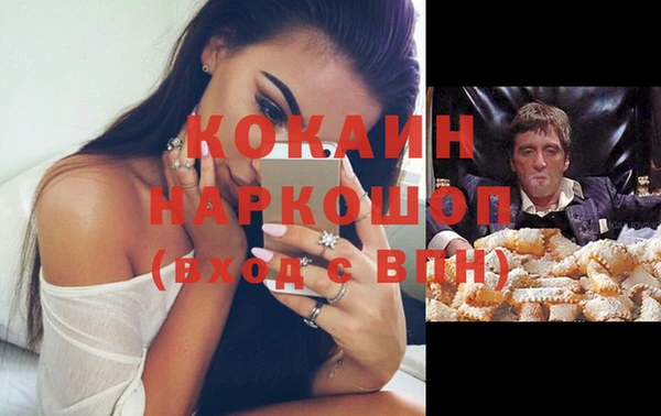прущий лед Алзамай