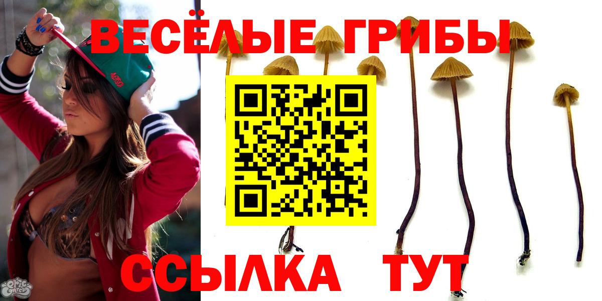 как найти закладки  Вход с VPN  Галлюциногенные грибы прущие грибы  Белореченск  Галлюциногенные грибы прущие грибы 