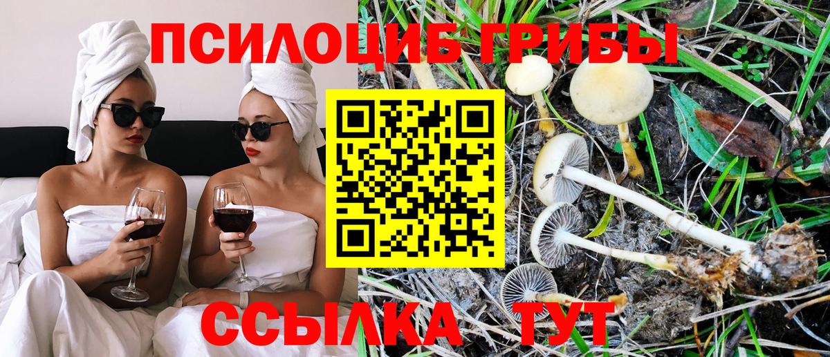 Псилоцибиновые грибы MAGIC MUSHROOMS Белореченск